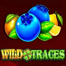 Wild Traces slot visual from Amusnet Interactive available on casoolaa.de